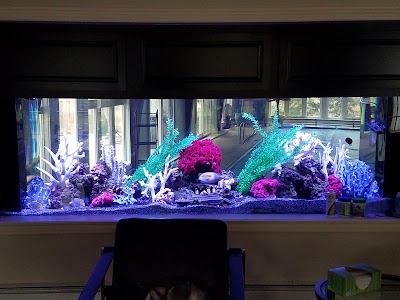 Dutch Family Reef: Aquarium Maintenance and Design