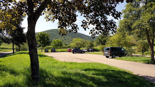 Parkplatz Kalmithöhenstraße - Maikammer - Thumbnail