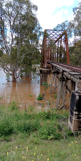EZZY'S CROSSING RAIL BRIDGE. Logo