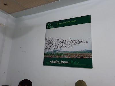 Photos of Noor Foods and Resturant নূর ফুডস এন্ড রেস্টুরেন্ট