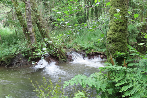 Ruta Rio Deva - Visual