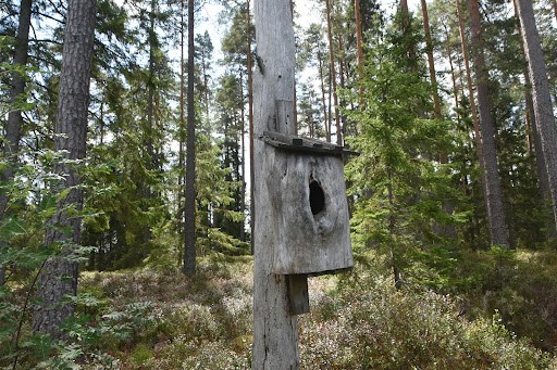Visjön - Visual