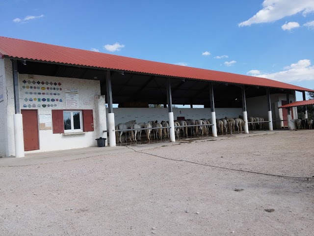 Arènes de Méjanes