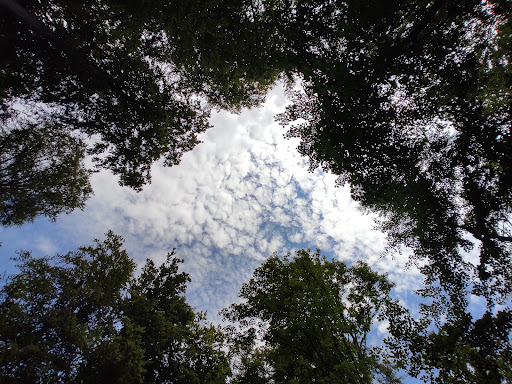 Kirchwald - Thumbnail