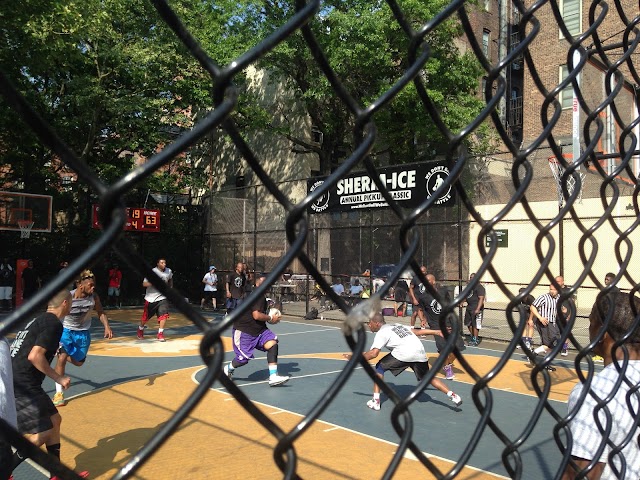 The Cage
