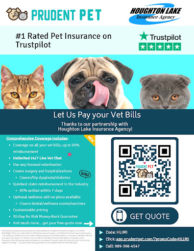 Houghton Lake Insurance Agency - Thumbnail