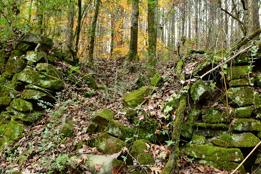 Lee Springs Park - Thumbnail