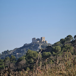 Photo n°85 de L' Industrie à Saint-Victor-la-Coste (Restaurant français)
