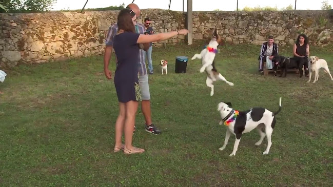 Avaliações doHospital Veterinário de Santa Marinha em Vila Nova de Gaia - Hospital