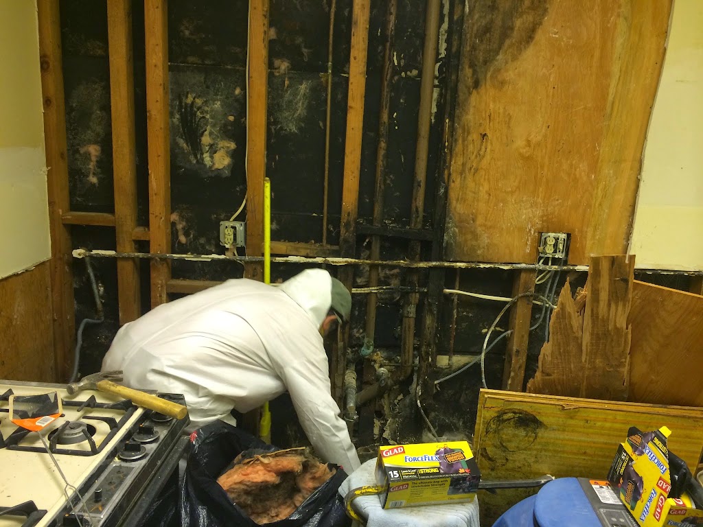 Golden Restore inc Berkeley photo