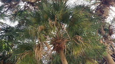 Photos of The Glades RV Resort, Golf & Marina