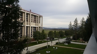 Photos of Lesnaya Skazka
