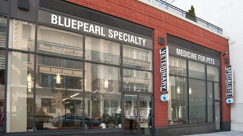 BluePearl Pet Hospital