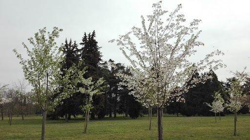 Poliambulatorio Parco dei Cedri - SYNLAB - Thumbnail