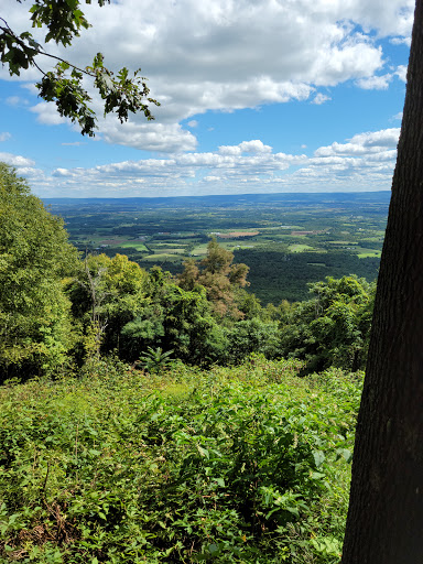 Tuscarora State Forest
