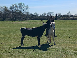 Photo n°16 de Manade Albert Chapelle à Saint-Martin-de-Crau (Restaurant français)