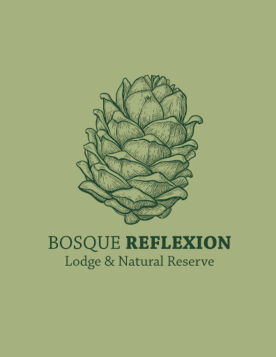 Bosque Reflexion - Visual