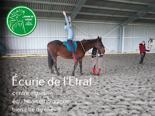 Photo n°4 de Ecurie de l'Etrat à Corseul (Centre équestre)