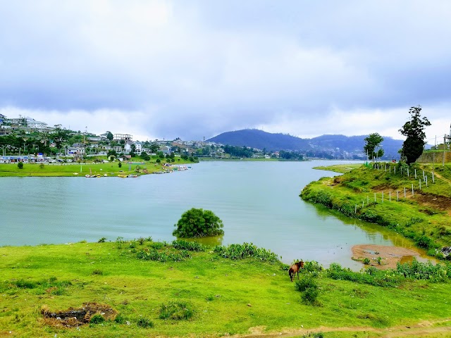 Nuwara Eliya