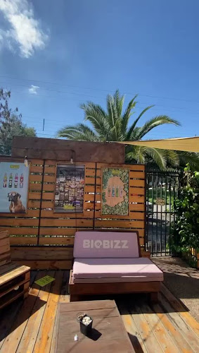 Opiniones de Astro Grow & Smoke Macul en Macul - Centro de jardinería