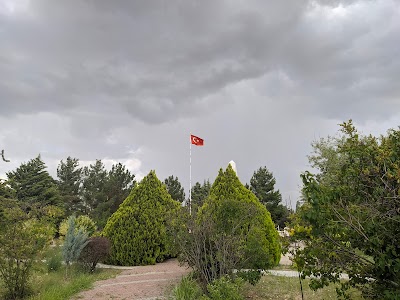 CASA ŞEHİTLİĞİ