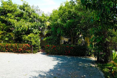 Photos of Chanmony Beach Bungalow