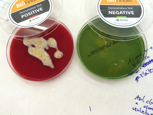 SANICHECK LABORATORIOS & CONSULTORIA