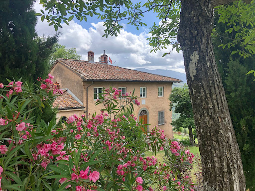 Casa Berti - Visual
