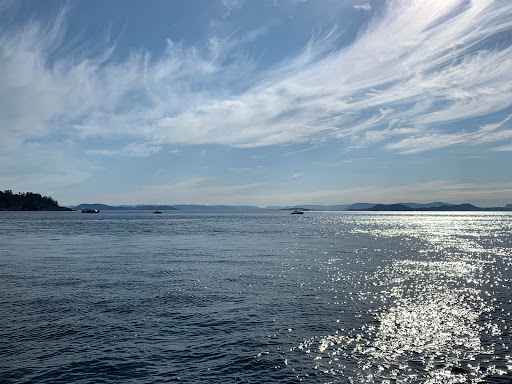 Blackfish Tours by Outer Island Expeditions - Thumbnail