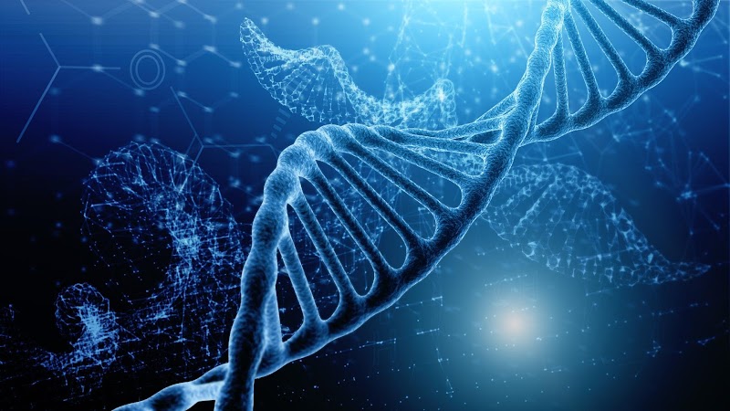 Regenerative Health 360 powered by Amnesty Health Group