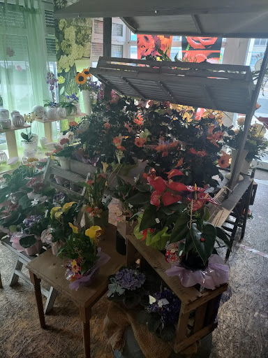 Blumengeschäft Sonnenblume - Thumbnail