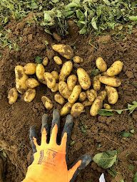 Photo n°2 de Association Entre Sables & Collines à Bren (Association agricole)