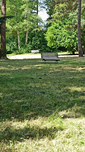 Ewilpa - Der Essbare Wildpflanzen Park Gallery - Germany