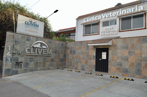 Clínica Veterinaria de Especialidades de Morelos - Thumbnail