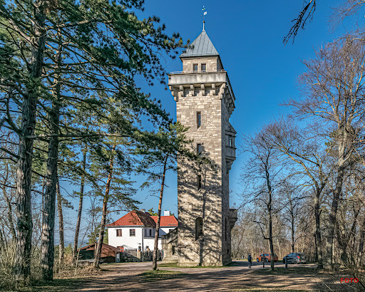 Alteburgturm - Visual