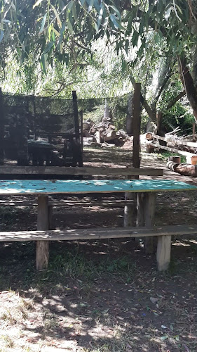 Opiniones de Camping Los Álamos chivilingo en Lota - Camping