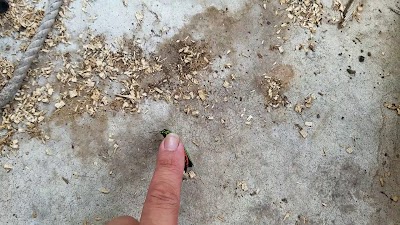 南野タイヤ商会