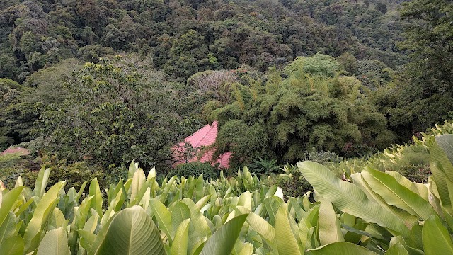 La Paz Waterfall
