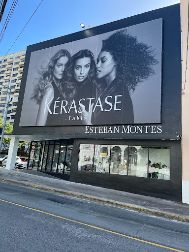Esteban Montes Salon