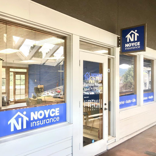 Pamela Noyce - Noyce Insurance Agency Gallery - United States