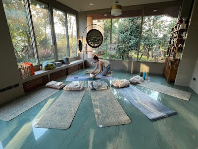 Yogasana with Bookee photo 5