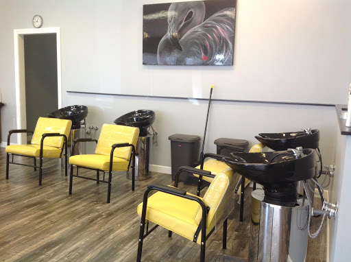 Hair Gallery and Hair Replacement Studio Gallery - United States