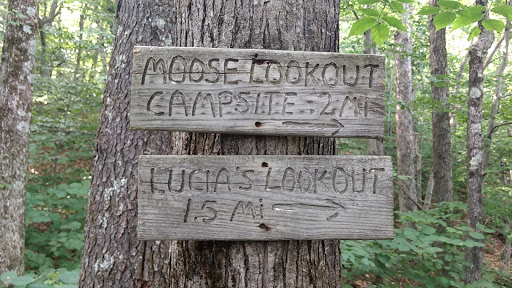 Monadnock Sunapee Greenway Sign