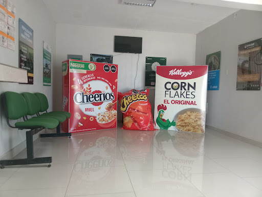 Sacsa Silos - Visual