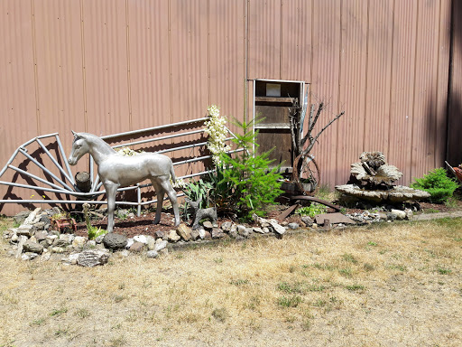 Bar D Ranch - Visual