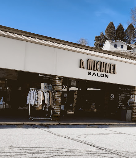 D. Michael Salon - Thumbnail