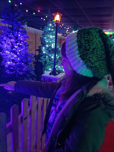 Stourbridge Christmas Grotto - Thumbnail