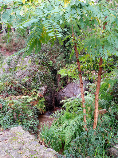 Botro dell'acqua chiara