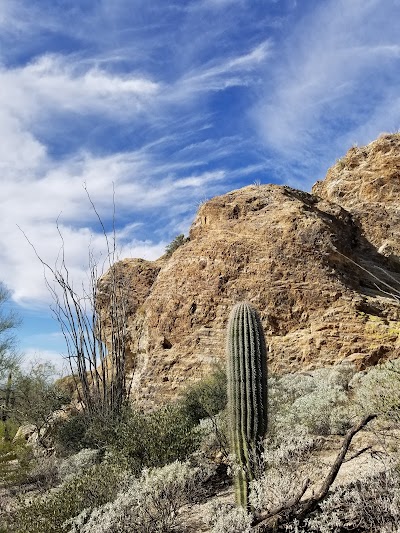 Javelina Rocks - Saguaro National Park (East)