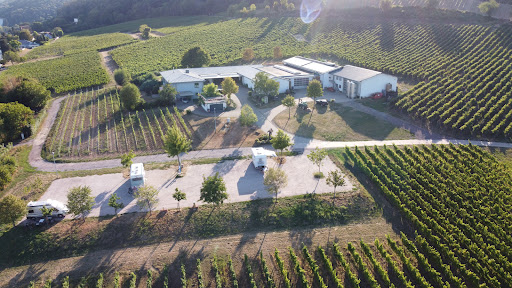 Weingut Hitziger Gallery - Germany